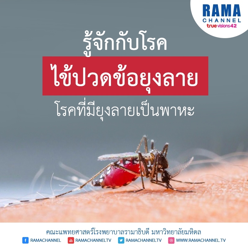 ปวดข้อยุงลาย