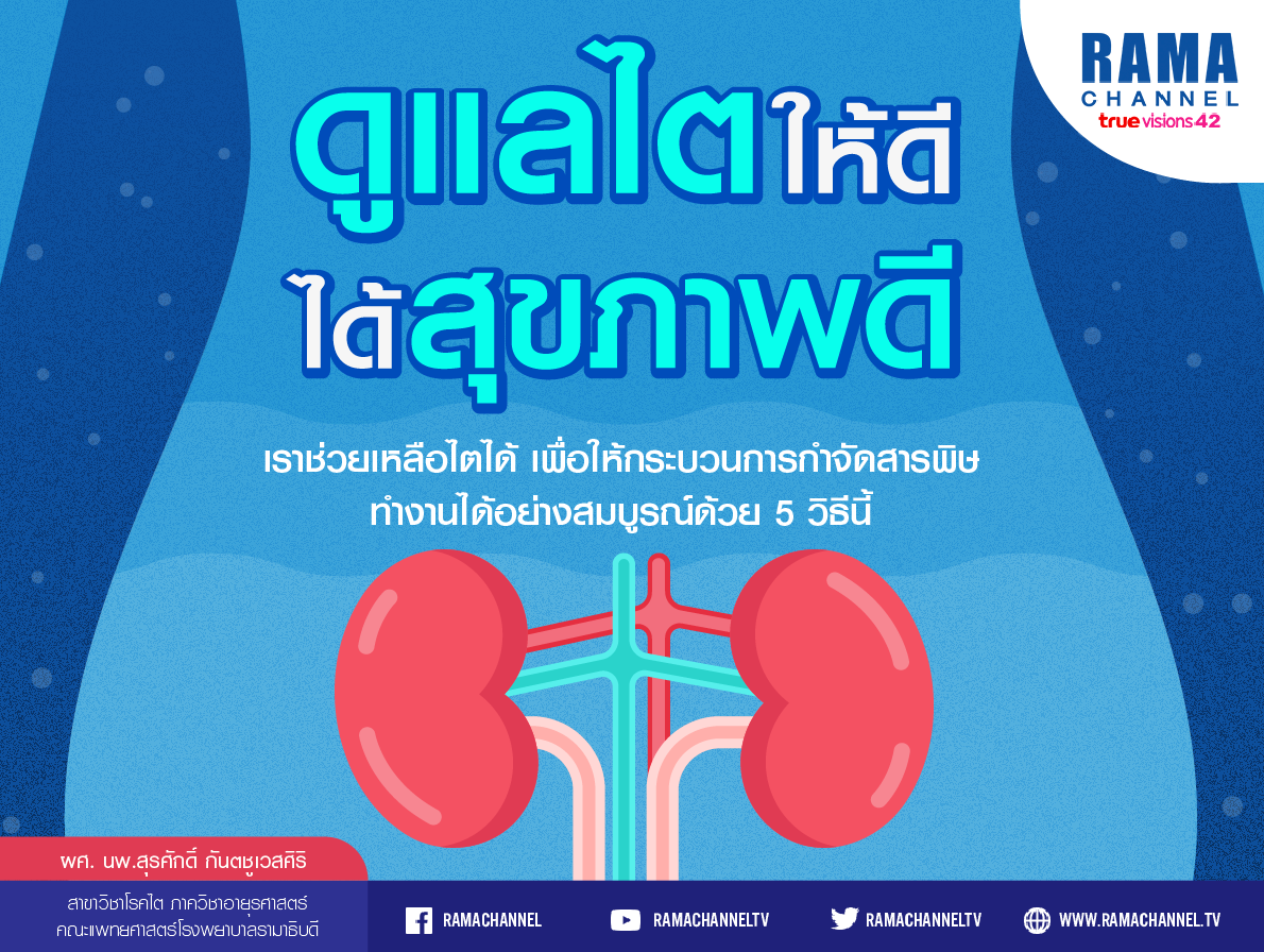 INFO 3 ไต_update-01