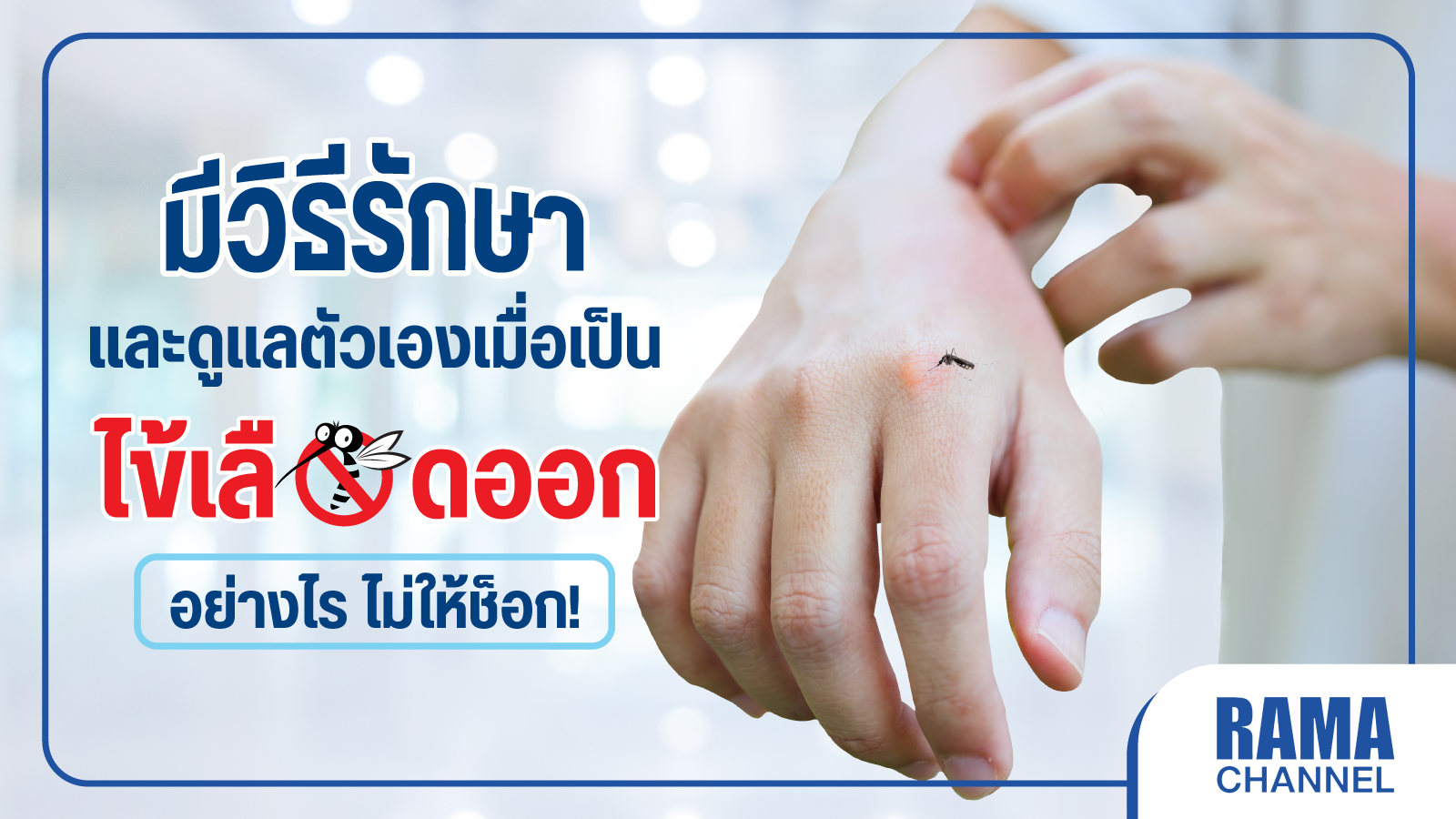 ไข้เลือดออก รักษา