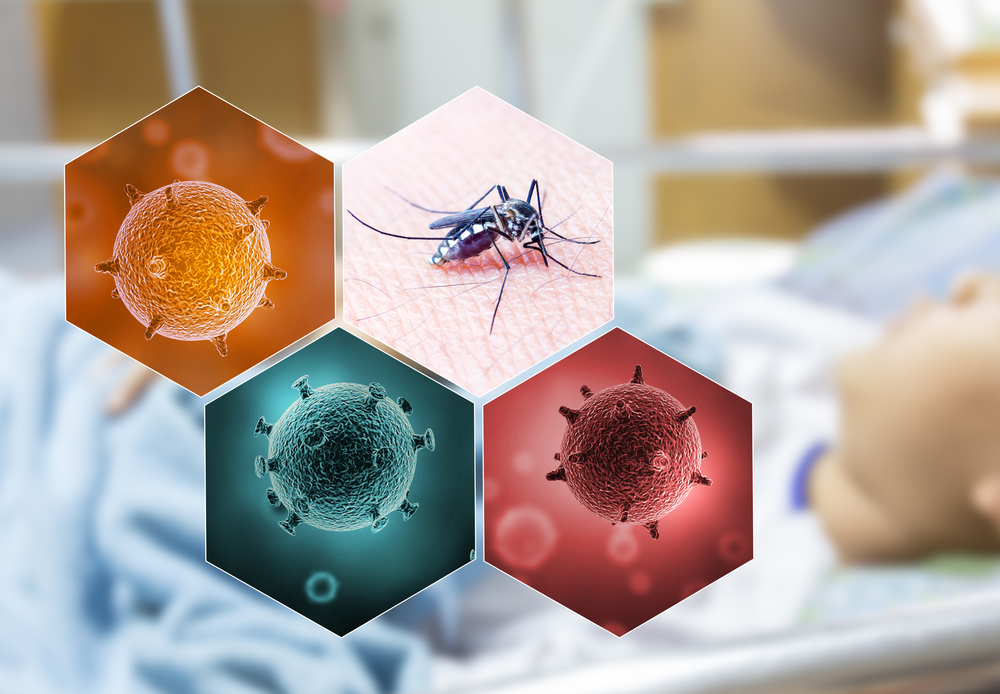 ไข้เลือดออก รักษา