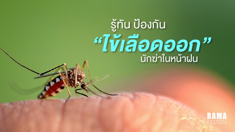 1024x576 Rama ไข้เลือดออก