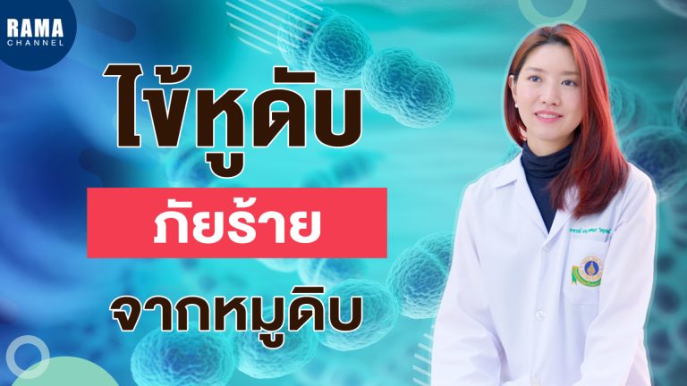ไข้หูดับ,หูดับ,หมูดิบ