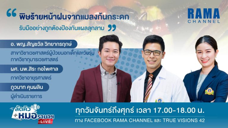 แมลงก้นกระดก,พิษจากแมลงก้นกระดก,แมลงพิษหน้าฝน,หน้าฝน