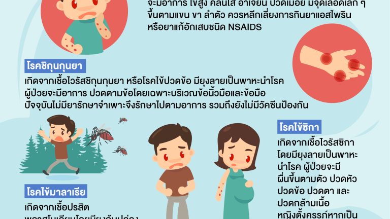 Info Rama ไข้เลือดออก