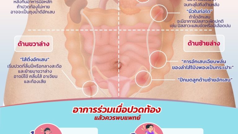 S__11084661