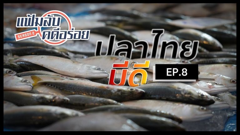ep8-1