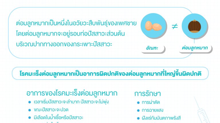 ต่อมลูกหมาก-3