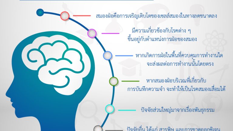 ภาวะสมองฝ่อ-01
